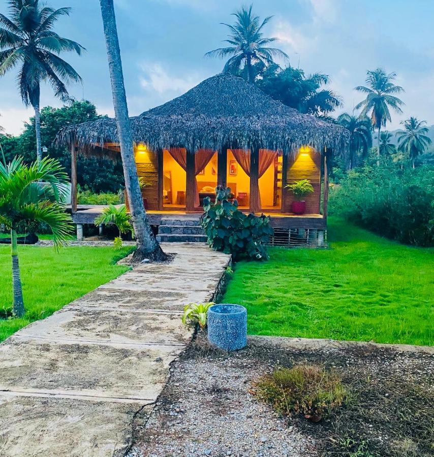 Palmeras Del Valle Samana Dış mekan fotoğraf